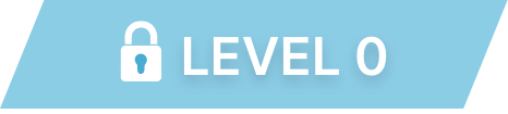 LEVEL 0