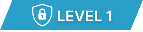 LEVEL 1