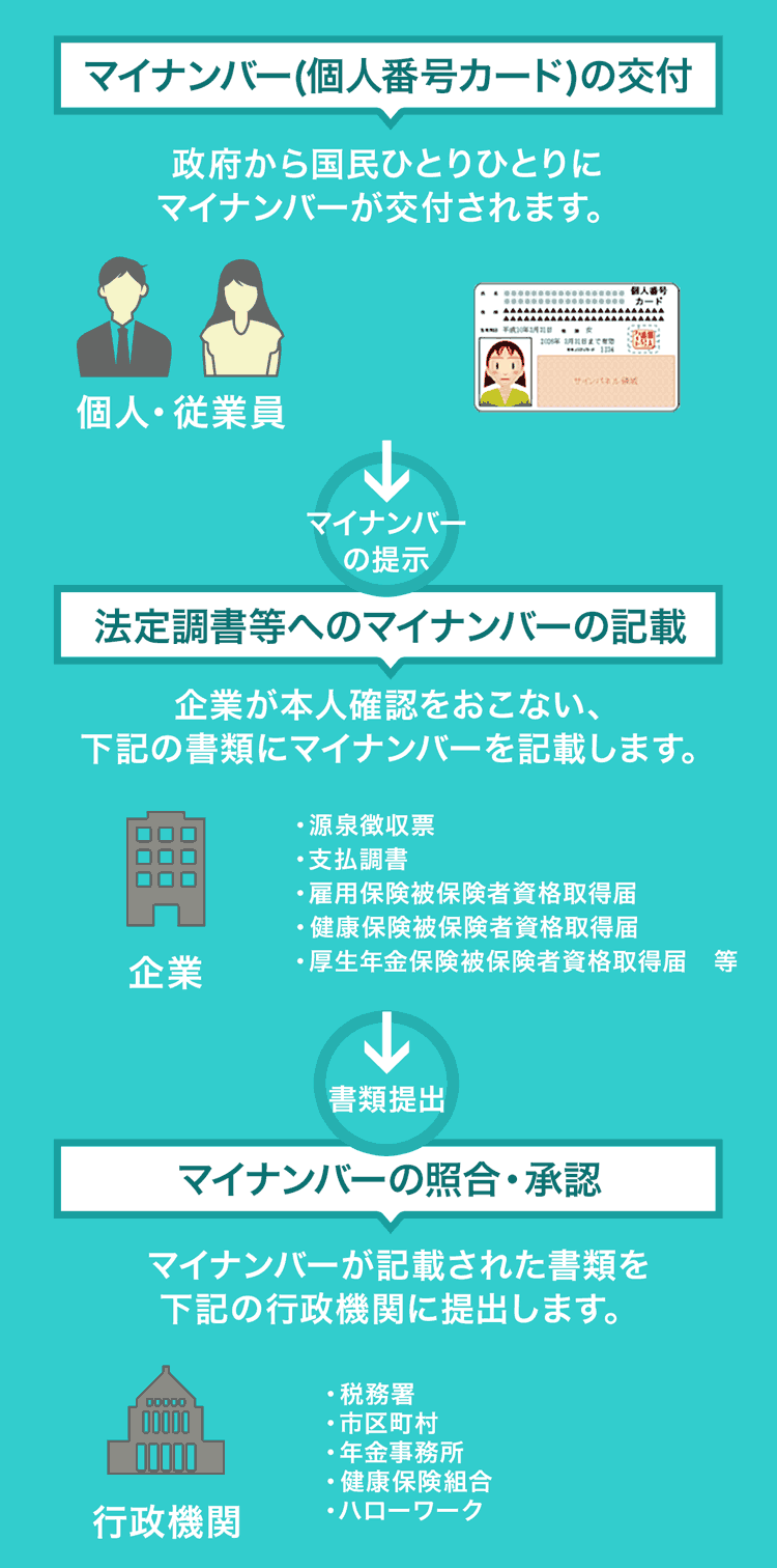 マイナンバー制度って？